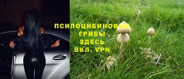apvp Балахна