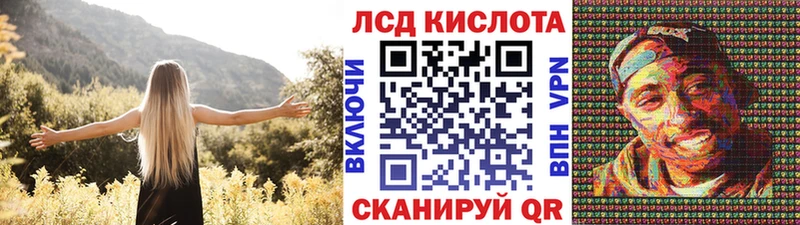 shop наркотические препараты  Стародуб  Марки N-bome 1,8мг  KRAKEN ONION 
