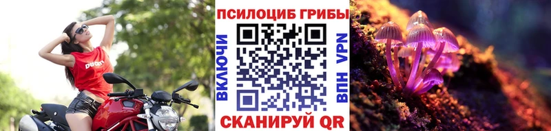 Галлюциногенные грибы Psilocybe  наркошоп  Стародуб 